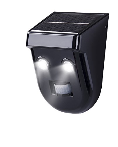 Algopix Similar Product 8 - EcoThink 155028 2 LED Solar Motion