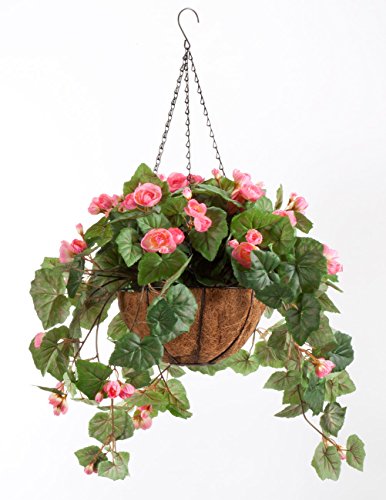 Algopix Similar Product 2 - OakRidge Miles Kimball Fully Assembled