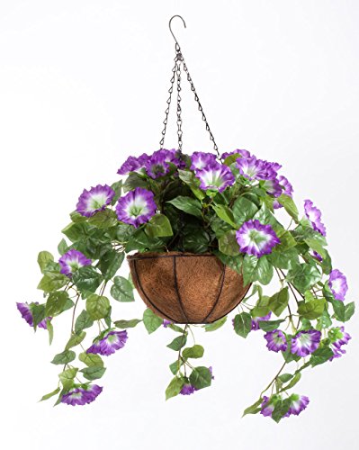 Algopix Similar Product 16 - OakRidge Miles Kimball Fully Assembled