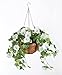 Algopix Similar Product 9 - OakRidge Miles Kimball Fully Assembled