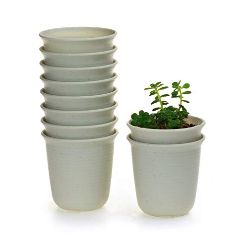 Algopix Similar Product 2 - T4U 3 Inch Plastic Round Plant