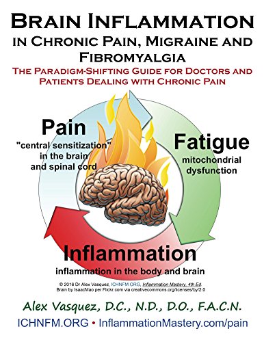 Algopix Similar Product 15 - Brain Inflammation in Chronic Pain