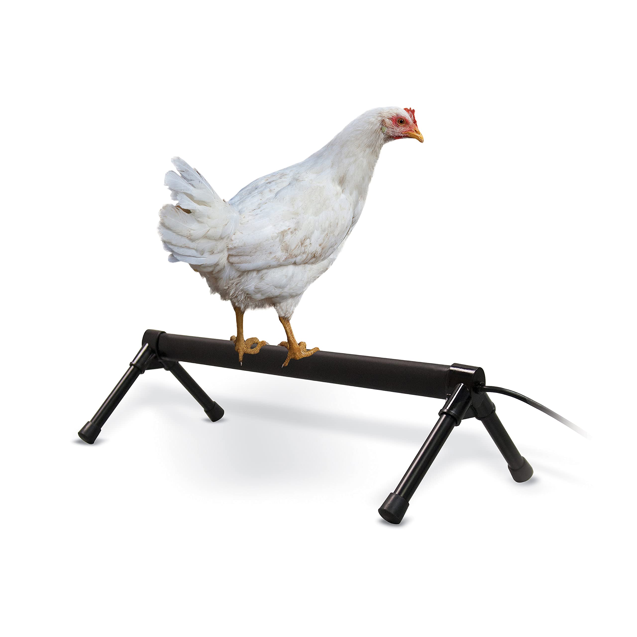 Algopix Similar Product 6 - KH Pet Products ThermoChicken Heated
