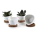 Algopix Similar Product 12 - T4U Small White Succulent Planter Pots