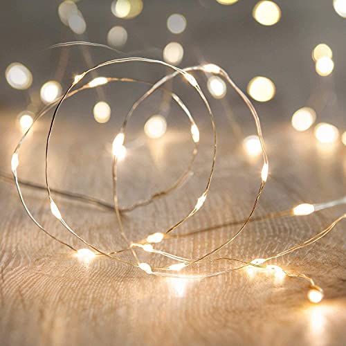 Algopix Similar Product 17 - ANJAYLIA LED Fairy String Lights