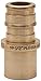 Algopix Similar Product 3 - TRIBAL GIDDS302375 34 x 34 Male