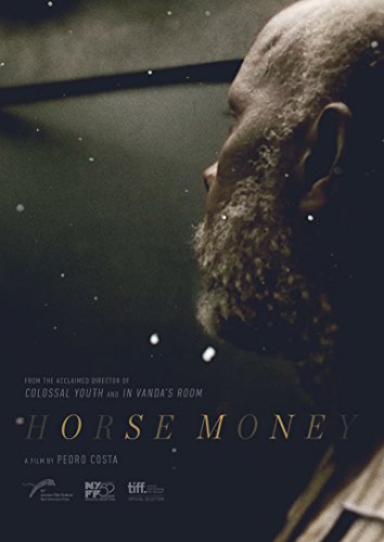 Algopix Similar Product 17 - Horse Money