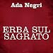 Algopix Similar Product 2 - Erba sul sagrato