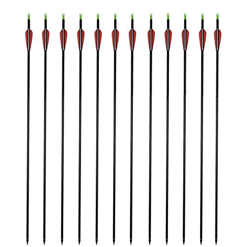 Algopix Similar Product 18 - GPP Archery Carbon 30Inch