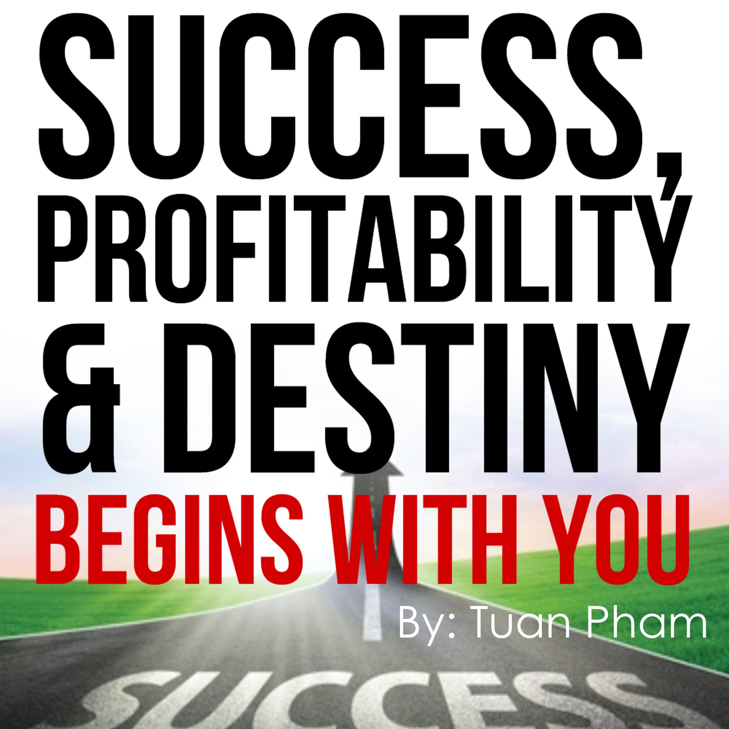 Algopix Similar Product 9 - Success Profitability  Destiny Begins