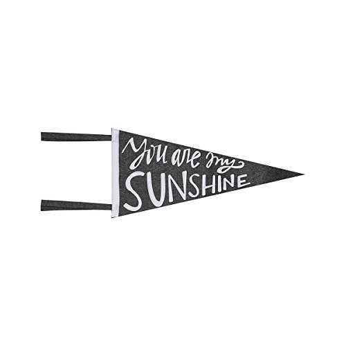 Algopix Similar Product 4 - You Are My Sunshine Fabric Pennant