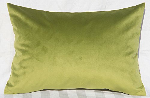 Algopix Similar Product 20 - TangDepot Solid Velvet Throw Pillow