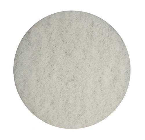 Algopix Similar Product 16 - BISSELL BigGreen Commercial 437051BGC