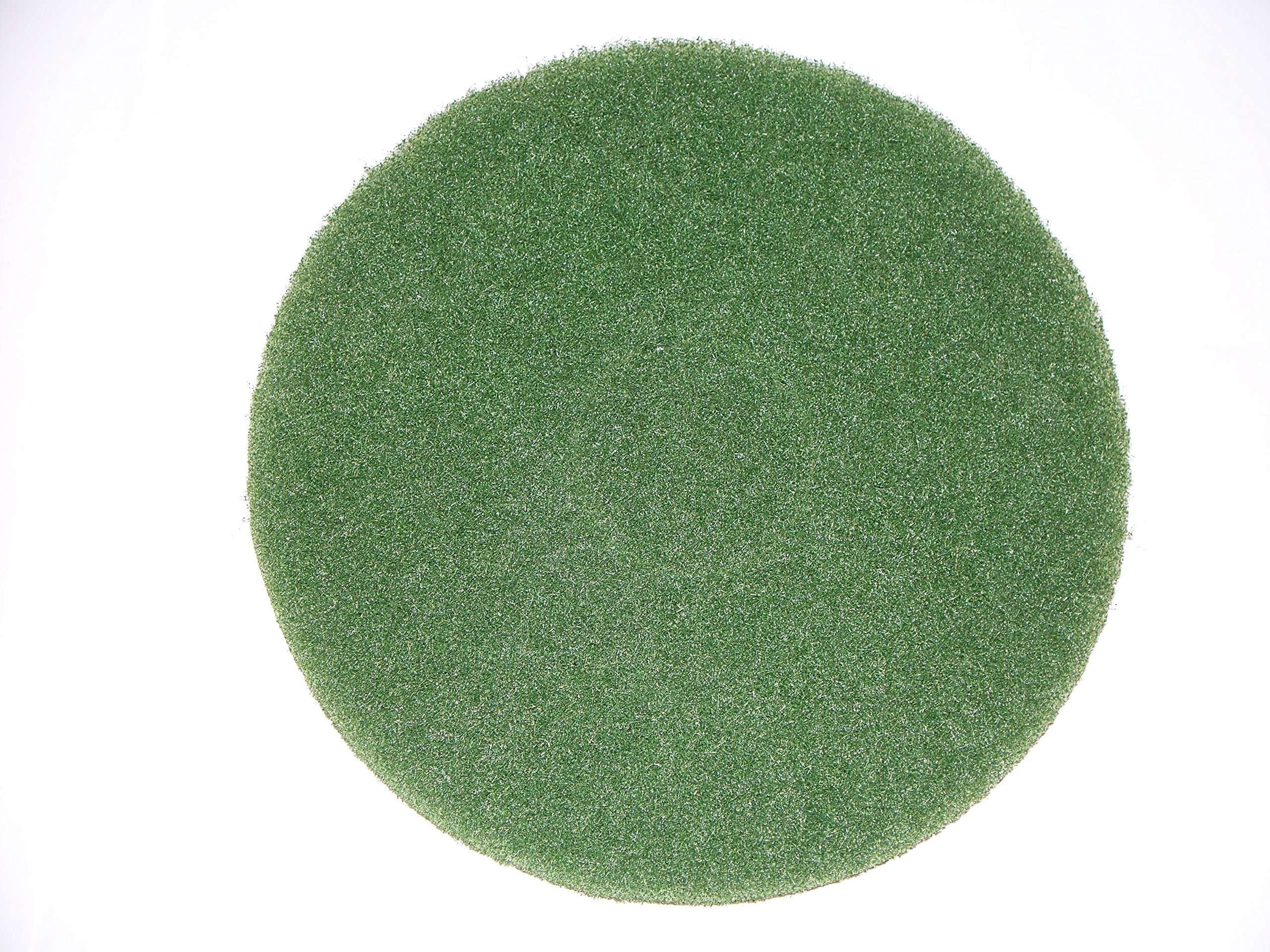 Algopix Similar Product 20 - BISSELL BigGreen Commercial 437056BGC