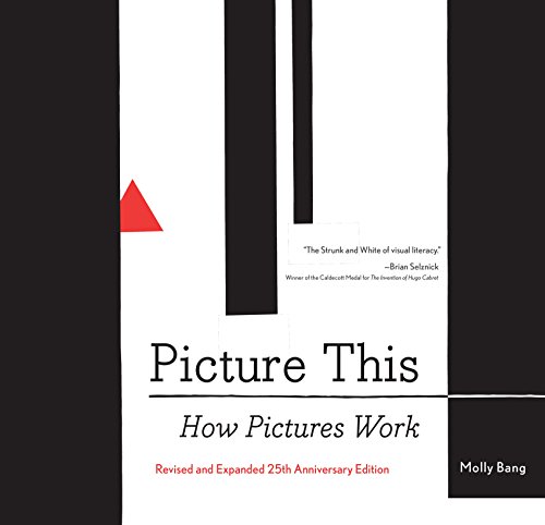 Algopix Similar Product 13 - Picture This: How Pictures Work