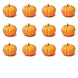 Algopix Similar Product 6 - Factory Direct Craft Group of 36 Small
