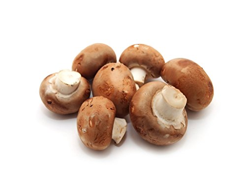 Algopix Similar Product 12 - Crimini Mushrooms Locally Grown 1