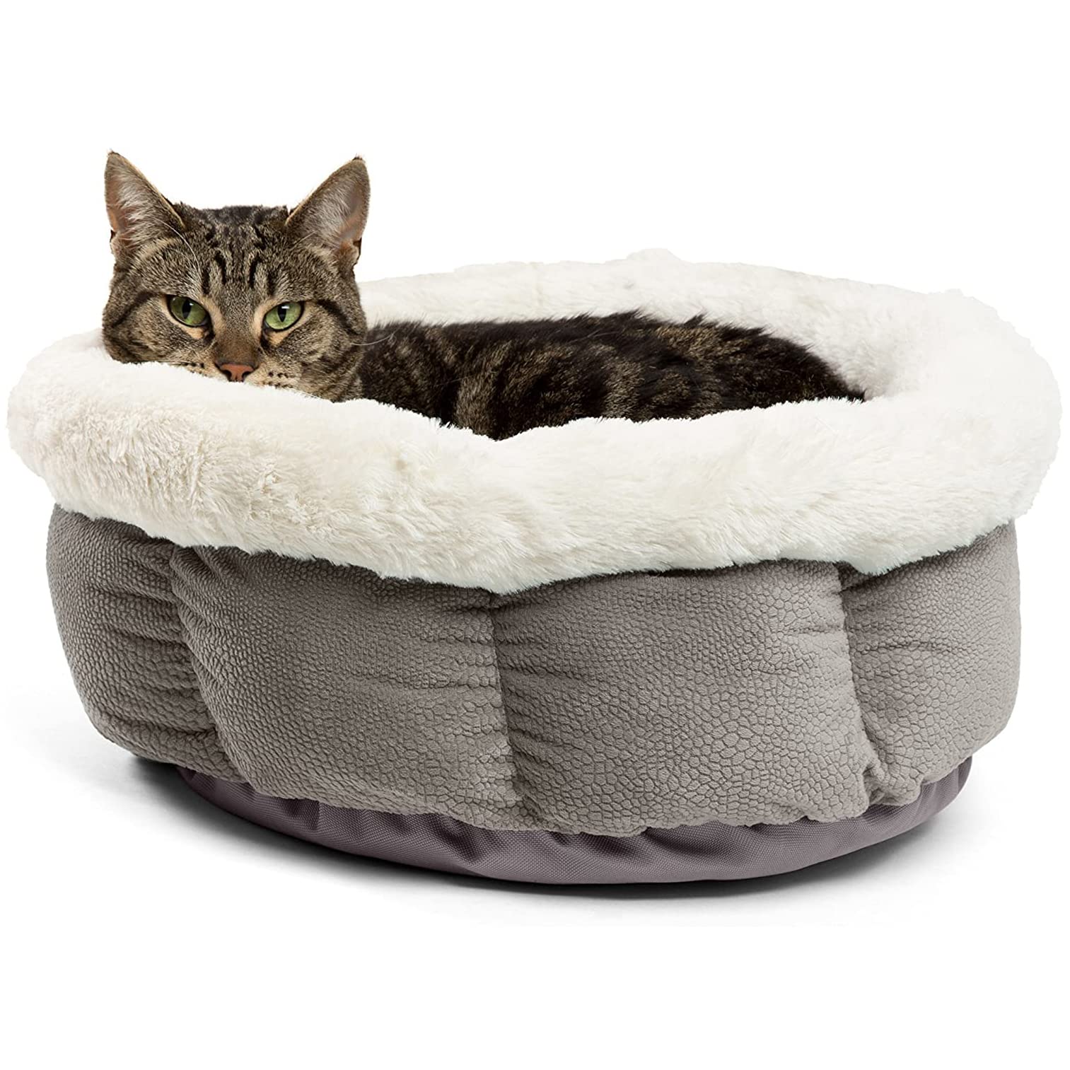 Algopix Similar Product 8 - Best Friends by Sheri Cuddle Cup Ilan