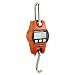 Algopix Similar Product 13 - Outmate 660lb300kg Digital Crane Scale