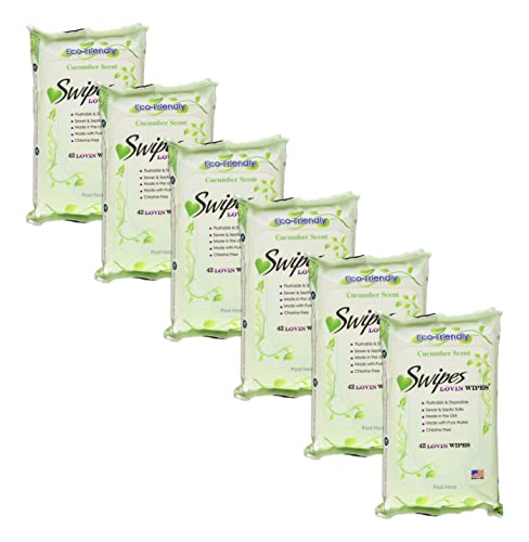 Algopix Similar Product 19 - Swipes Lovin WipesCucumber 42 Count