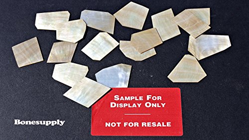 Algopix Similar Product 20 - 1 oz Gold mother of pearl shell blanks