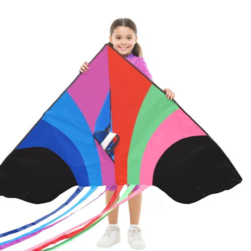 Algopix Similar Product 19 - Stoies Giant Rainbow Delta Kite for