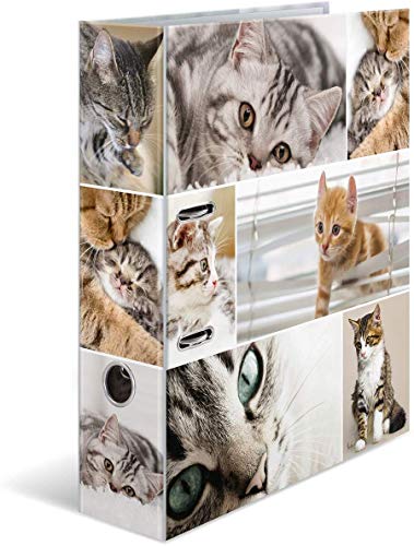 Algopix Similar Product 1 - Herma 7166 Carton Multicolour