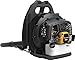 Algopix Similar Product 5 - Poulan Pro Poulan Pro PR48BT 48cc