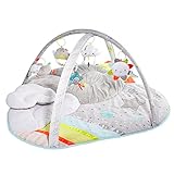 Algopix Similar Product 10 - Skip Hop Baby Play Gym Silver Lining