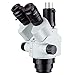 Algopix Similar Product 15 - AmScope  7X45X SimulFocal Trinocular