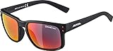 Algopix Similar Product 14 - Alpina Unisexs KOSMIC Sports Glasses