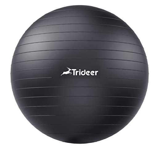 Algopix Similar Product 2 - Trideer Extra Thick Yoga Ball Exercise
