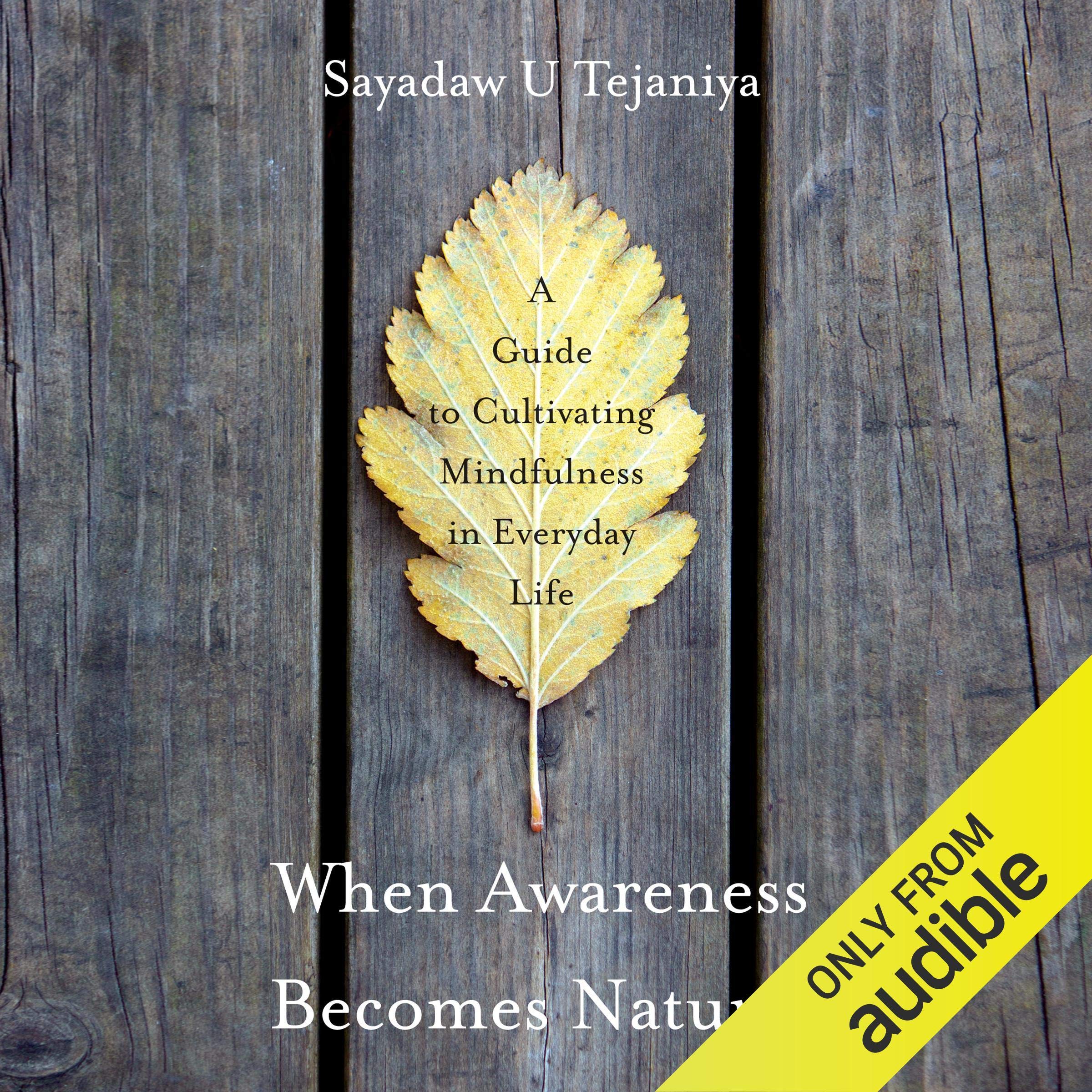 Algopix Similar Product 15 - When Awareness Becomes Natural A Guide