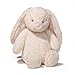 Algopix Similar Product 7 - Gund Baby Thistle Bunny Plush Cream