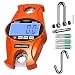 Algopix Similar Product 4 - Digital Hanging Scale 660 LB 300 KG