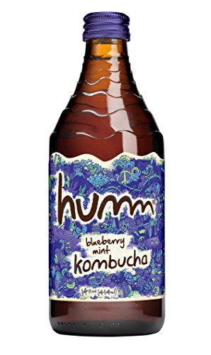 Algopix Similar Product 15 - Humm Kombucha, Blueberry Mint, 14 fl oz