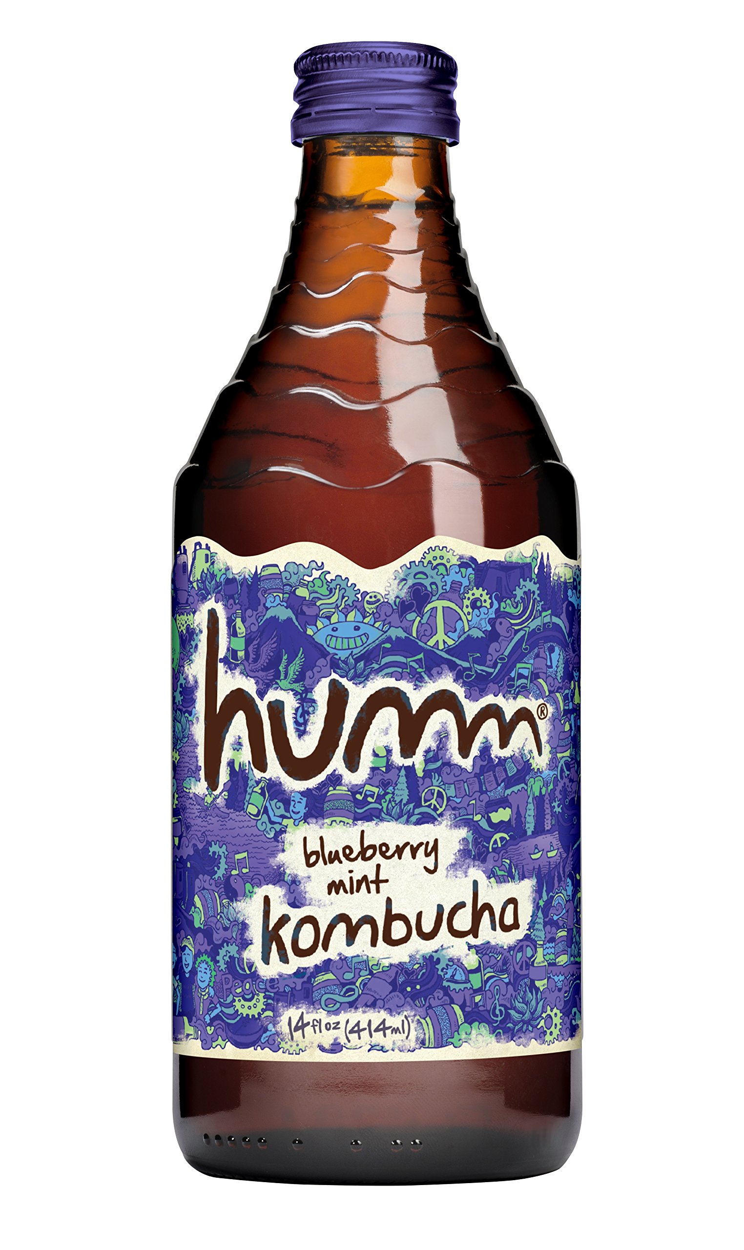 Algopix Similar Product 17 - Humm Kombucha, Blueberry Mint, 14 fl oz