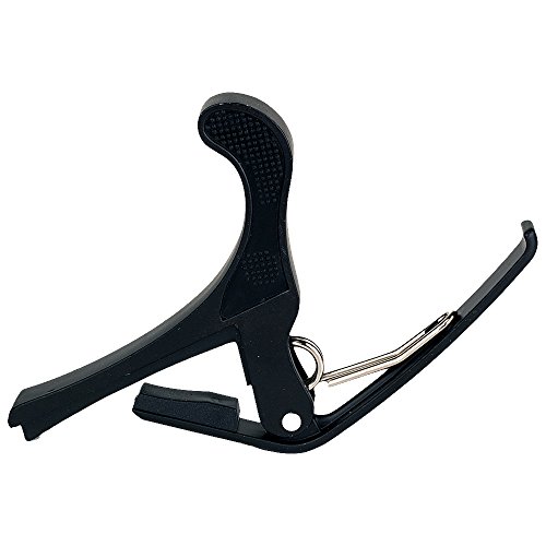 Algopix Similar Product 7 - Seismic Audio  SACAPO1  One Handed