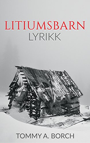 Algopix Similar Product 7 - Litiumsbarn (Norwegian Bokmal Edition)