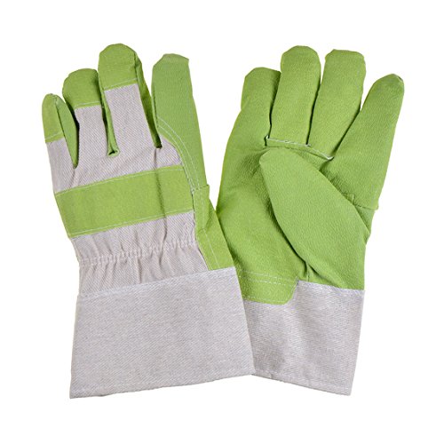 Algopix Similar Product 12 - Suki Winter Glove with Plastic Leather