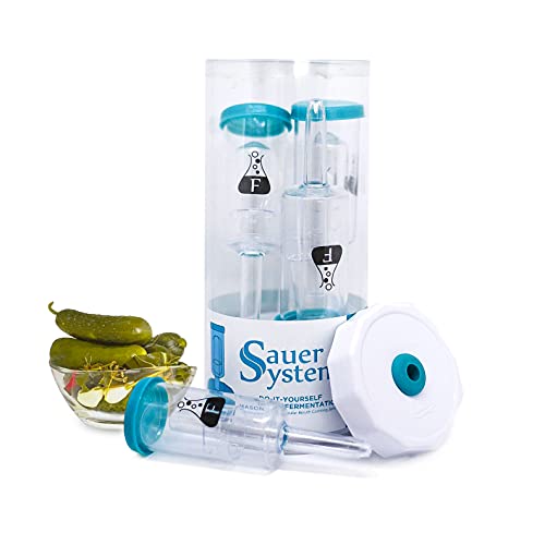 Algopix Similar Product 4 - Fermentology Sauer System Fermentation