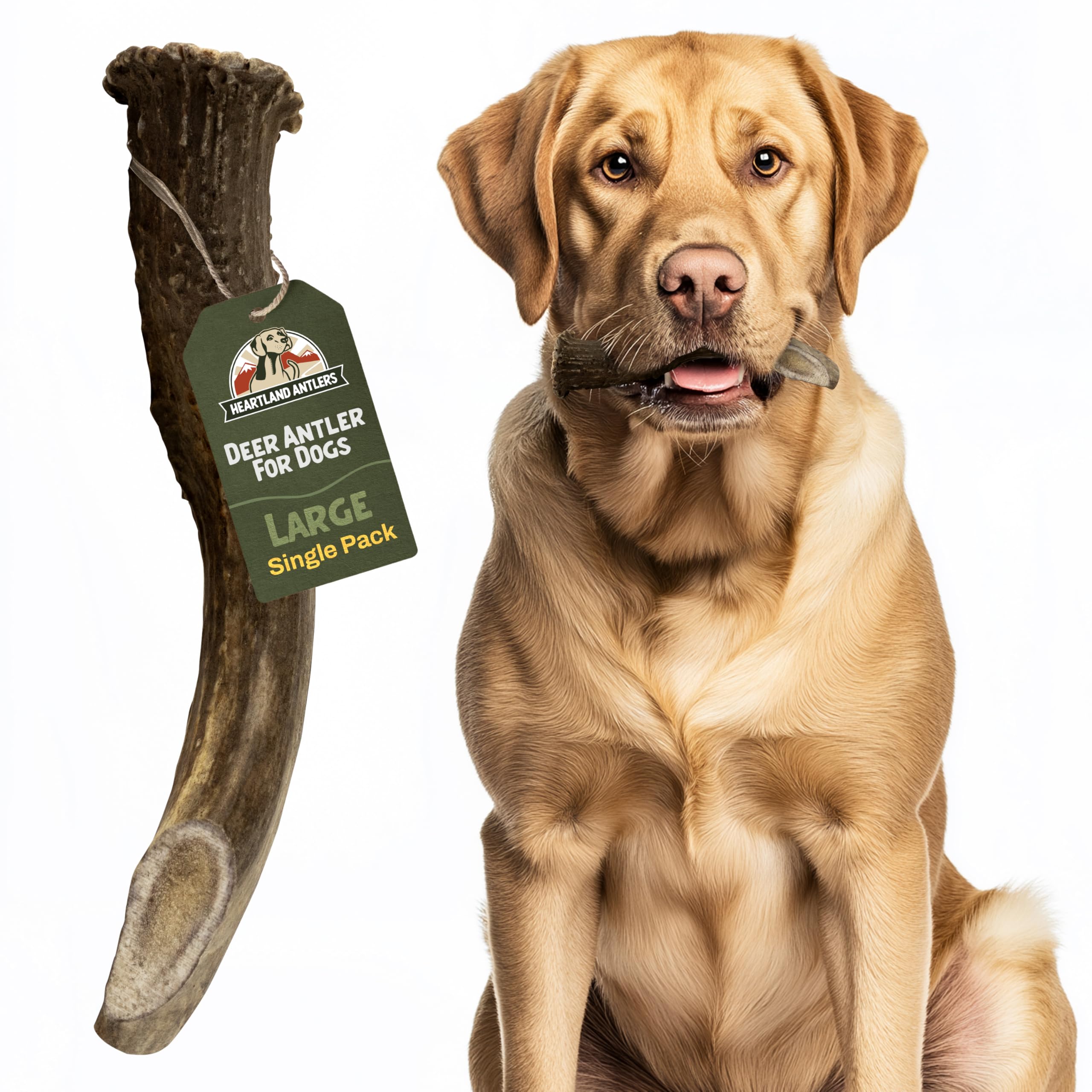 Algopix Similar Product 19 - Heartland Deer Antlers for Dogs Large