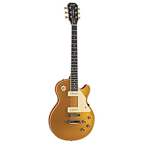 Algopix Similar Product 15 - Austin Guitars AS656GT Super6 Series