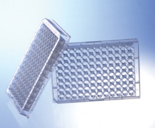 Algopix Similar Product 11 - Greiner BioOne 655801 Clear UVStar