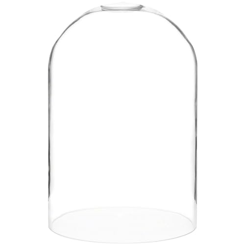 Algopix Similar Product 4 - Plymor 8 x 12 Glass Display Dome