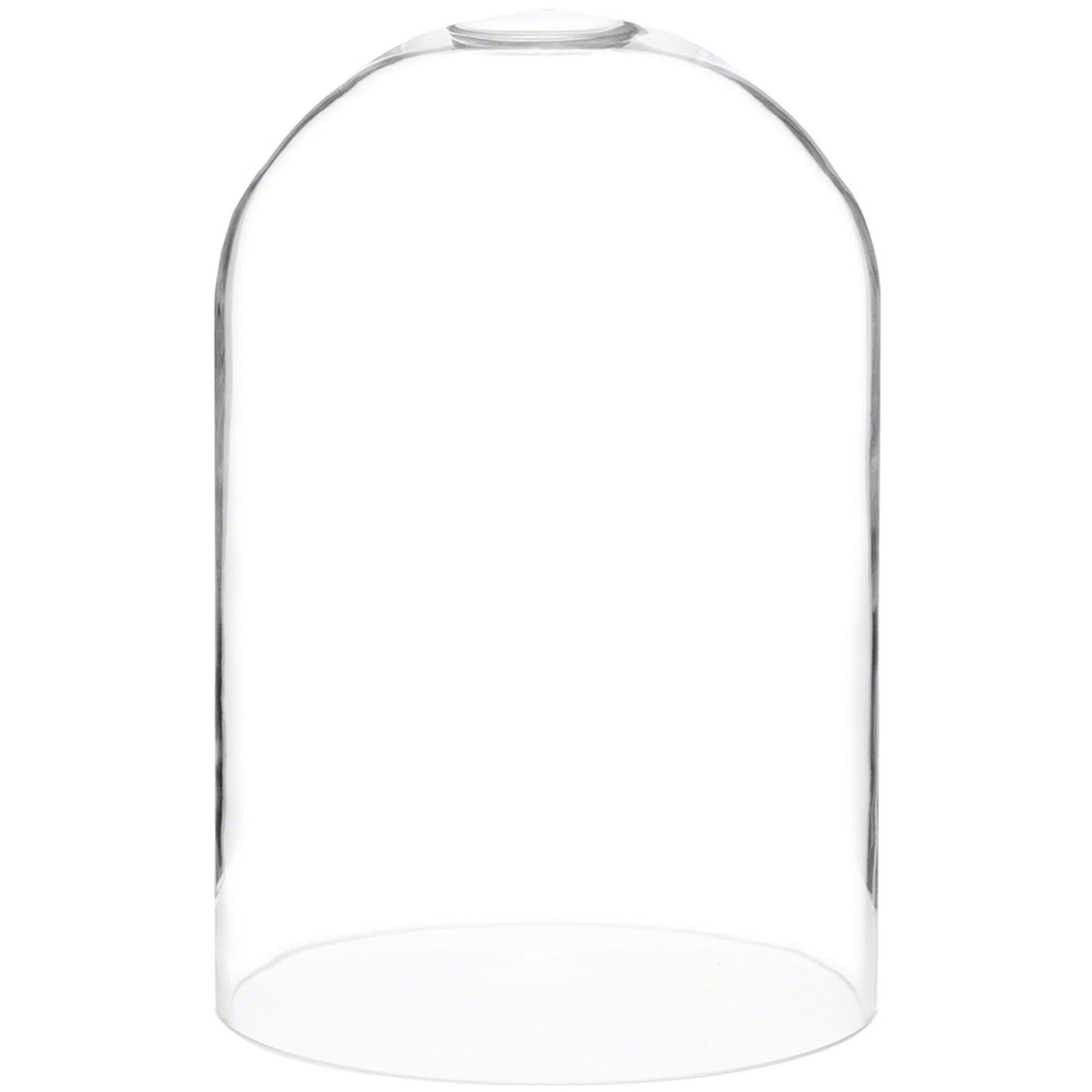 Algopix Similar Product 13 - Plymor 8 x 12 Glass Display Dome