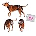 Algopix Similar Product 12 - PABS Pet AntiBreeding System Chastity