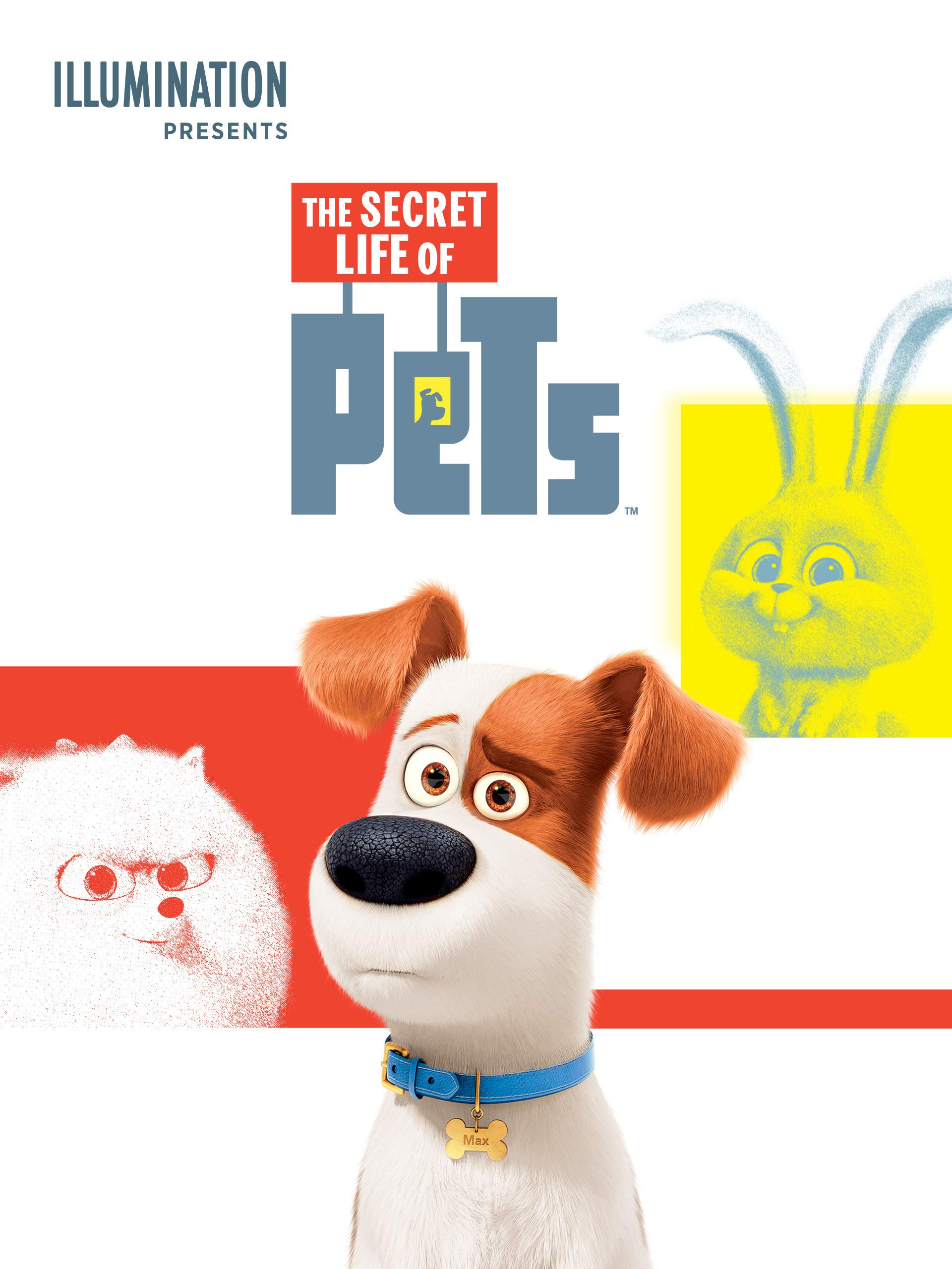 Algopix Similar Product 16 - The Secret Life of Pets