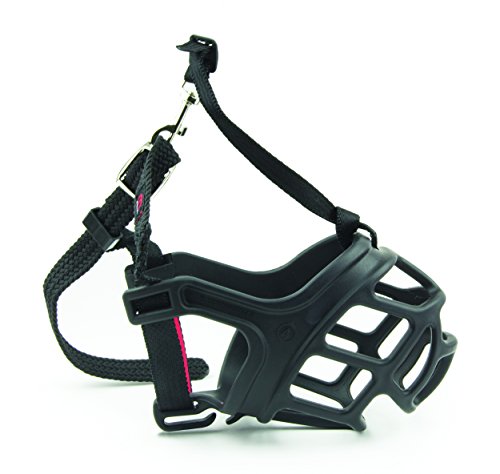 Algopix Similar Product 16 - 