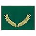 Algopix Similar Product 4 - Hayes Gold Foil Stamped Green
